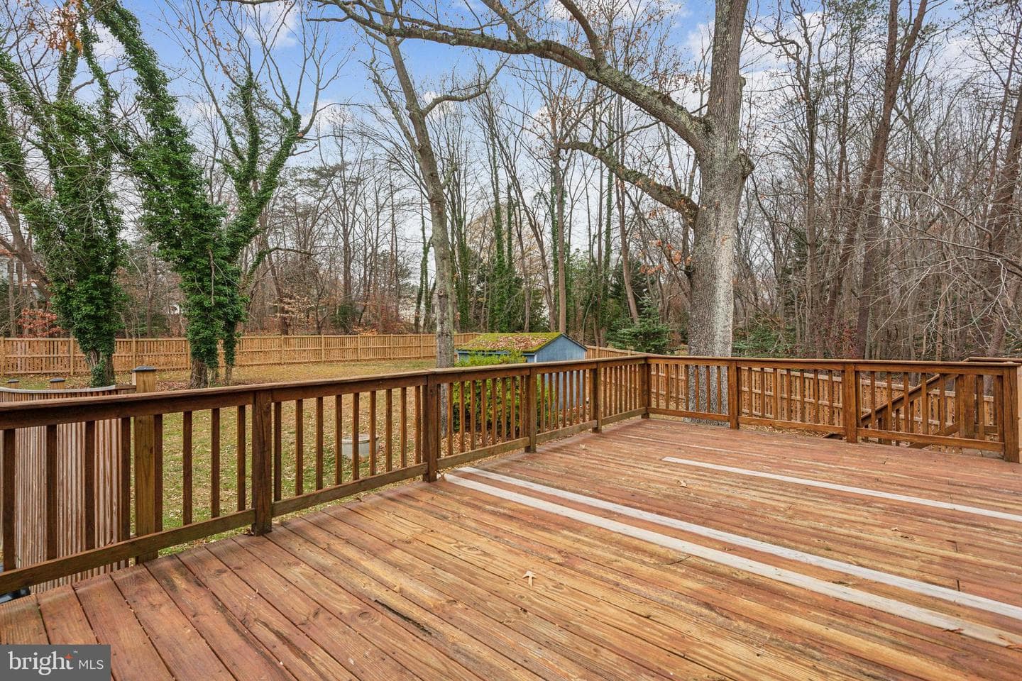2532 Cheval Drive photo 29
