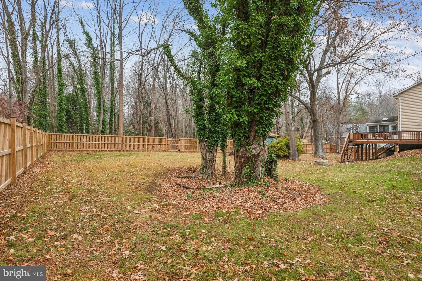 2532 Cheval Drive photo 34