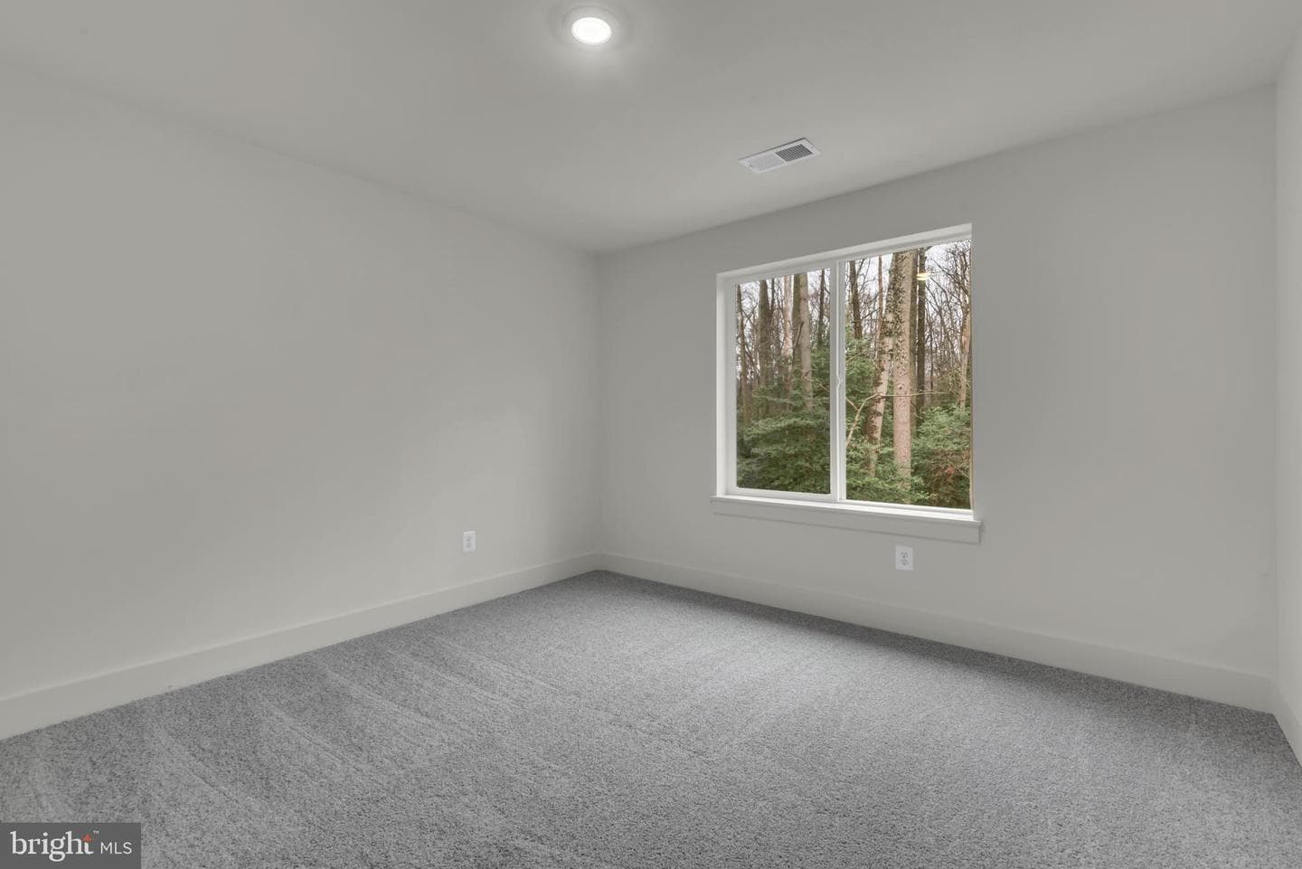6504 Whitetail Crossing Way photo 39