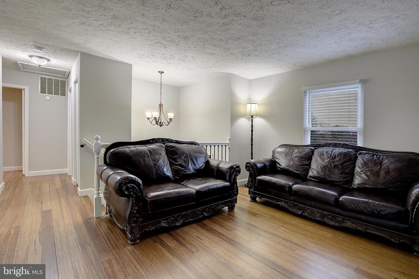 1525 Big Baer Court photo 5