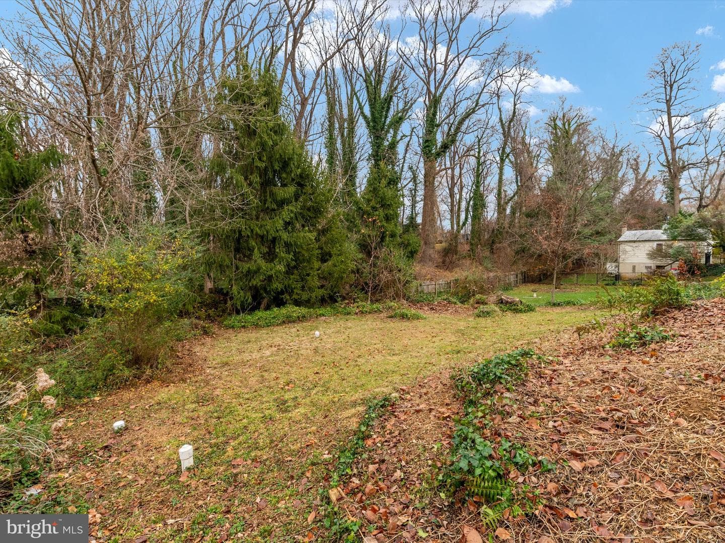 10 Brice Road photo 62