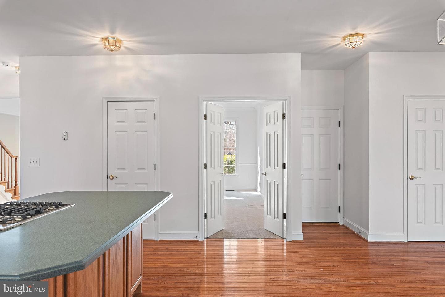 300 Durmont Lane photo 19