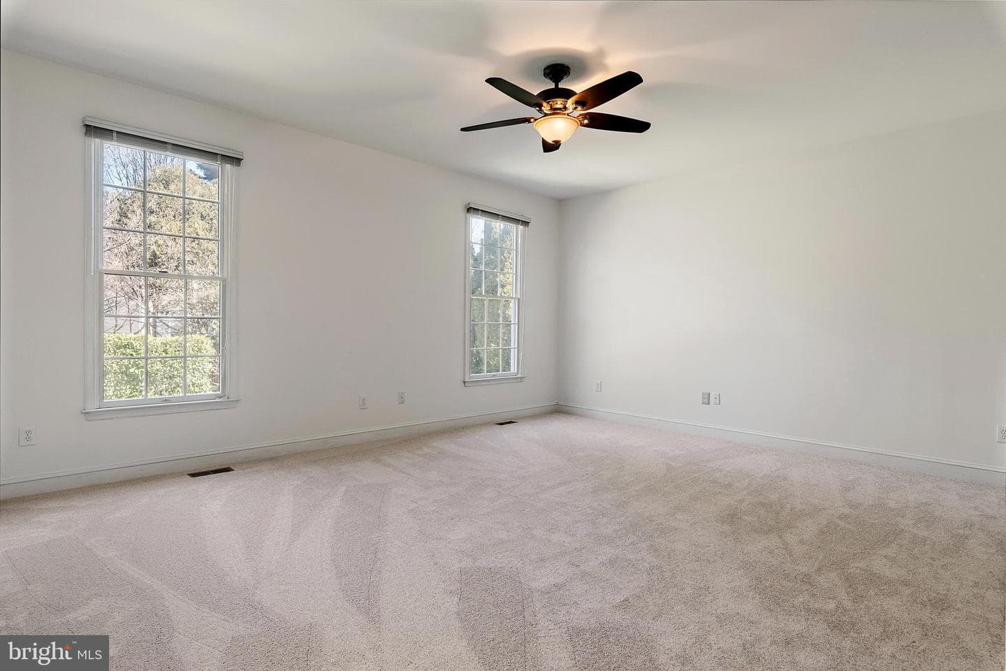 300 Durmont Lane photo 38