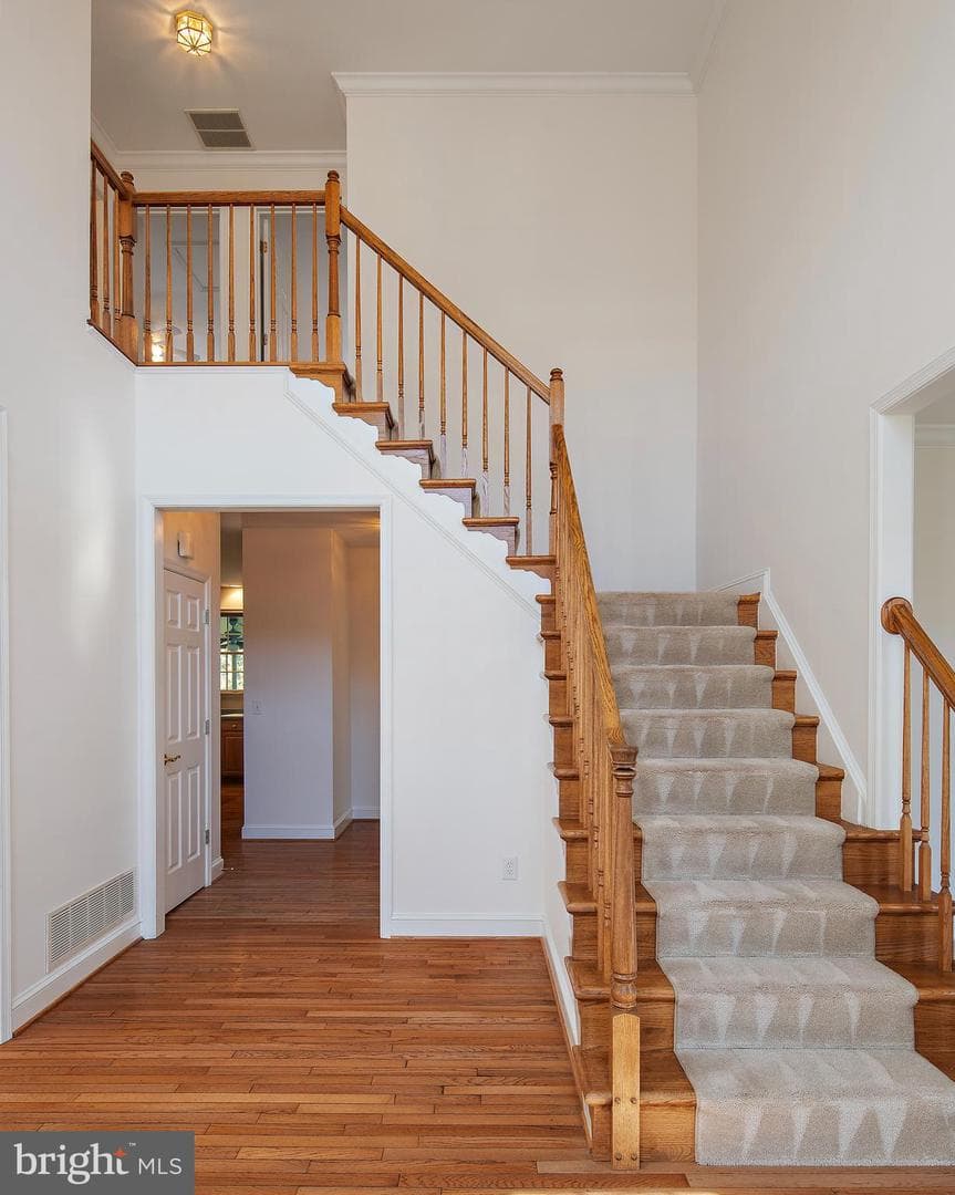 300 Durmont Lane photo 44