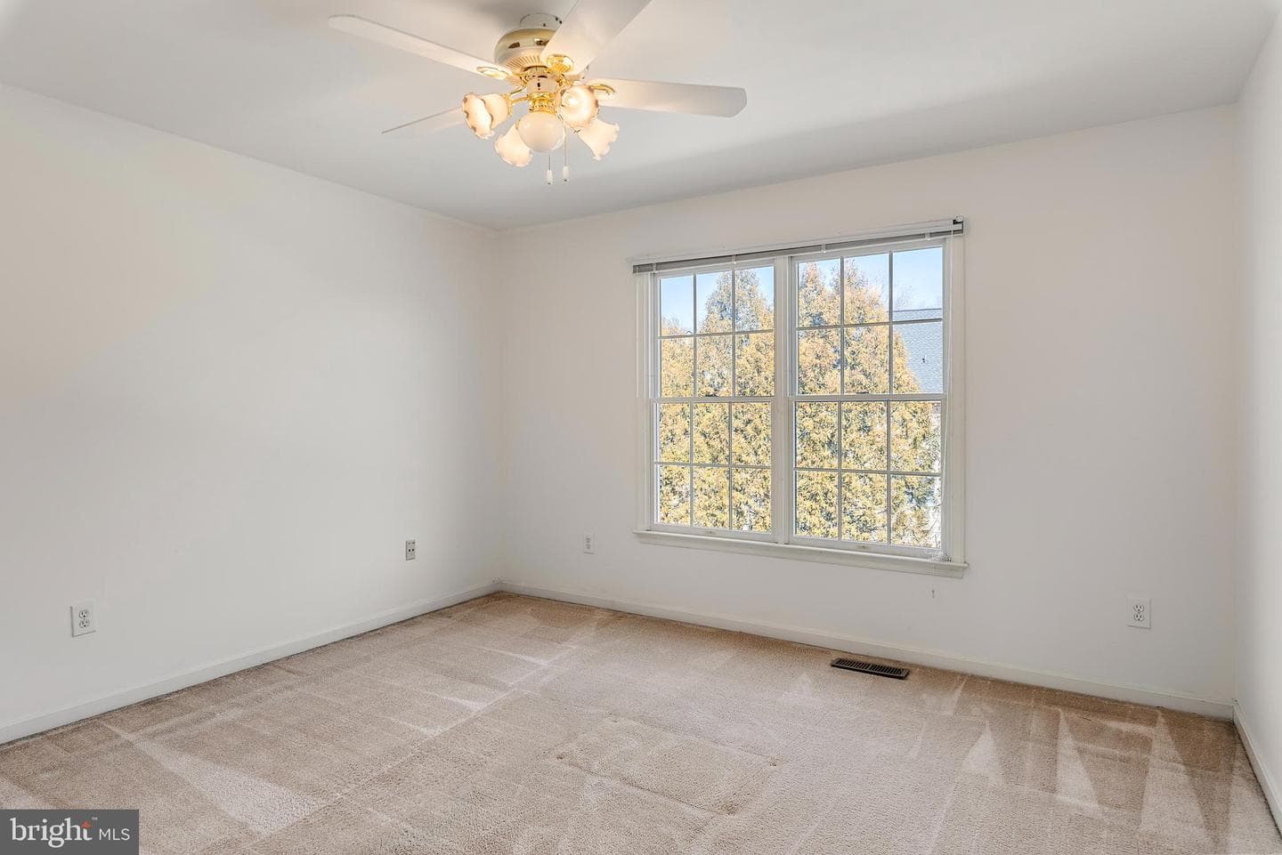 300 Durmont Lane photo 47