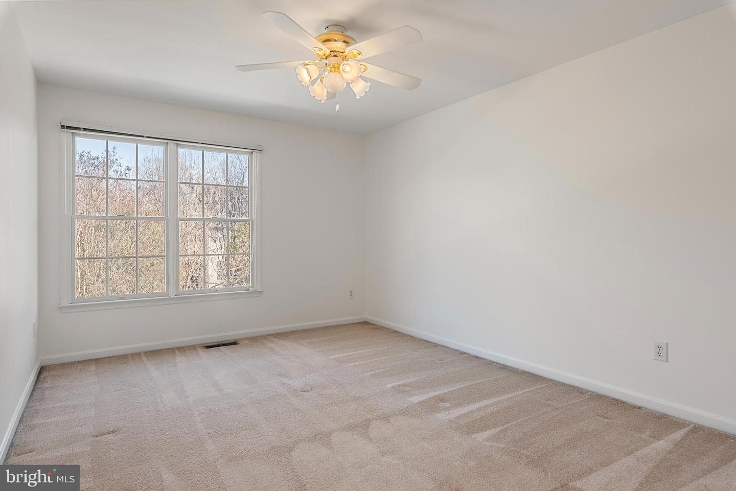300 Durmont Lane photo 48
