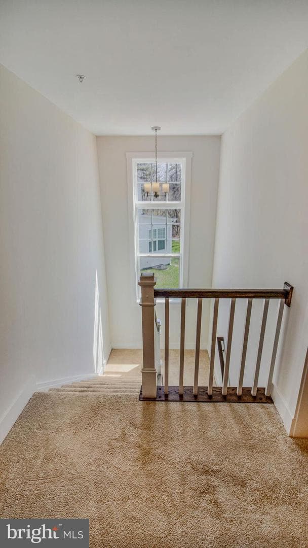 7778 Truitt Lane photo 43