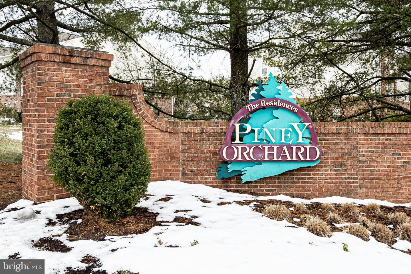2493 Amber Orchard Court E #202 photo 14