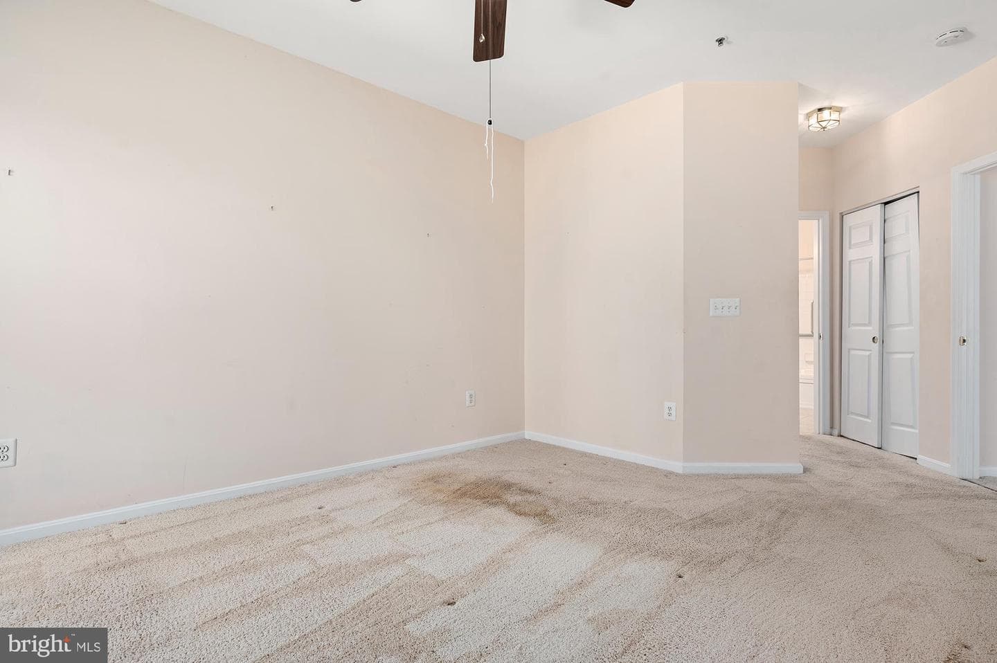 3523 Piney Woods Place #g103 photo 10