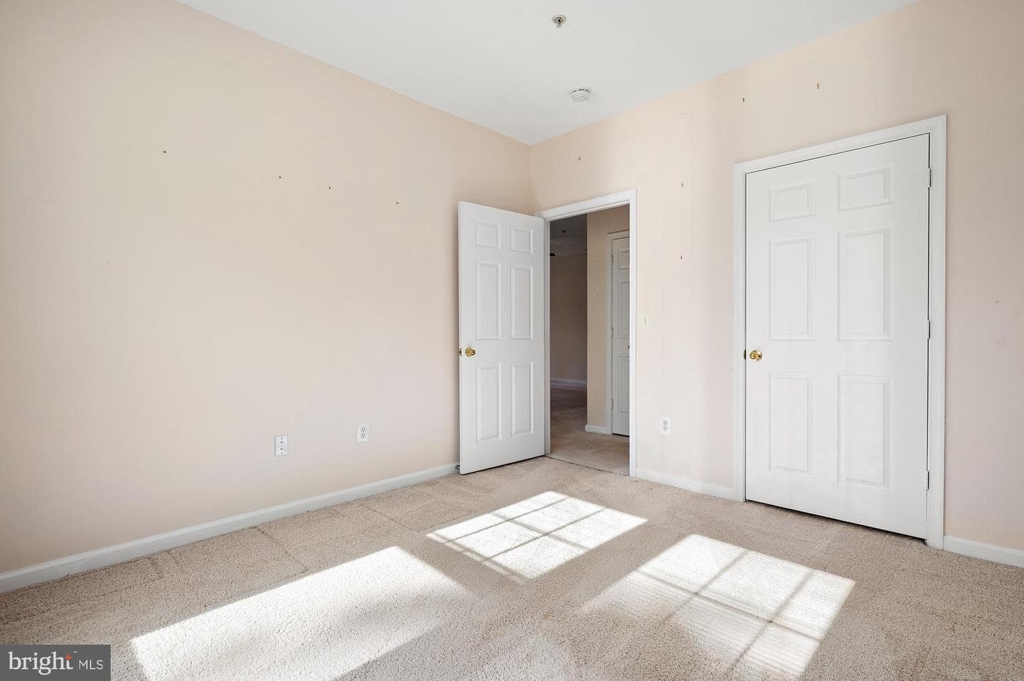 3523 Piney Woods Place #g103 photo 14