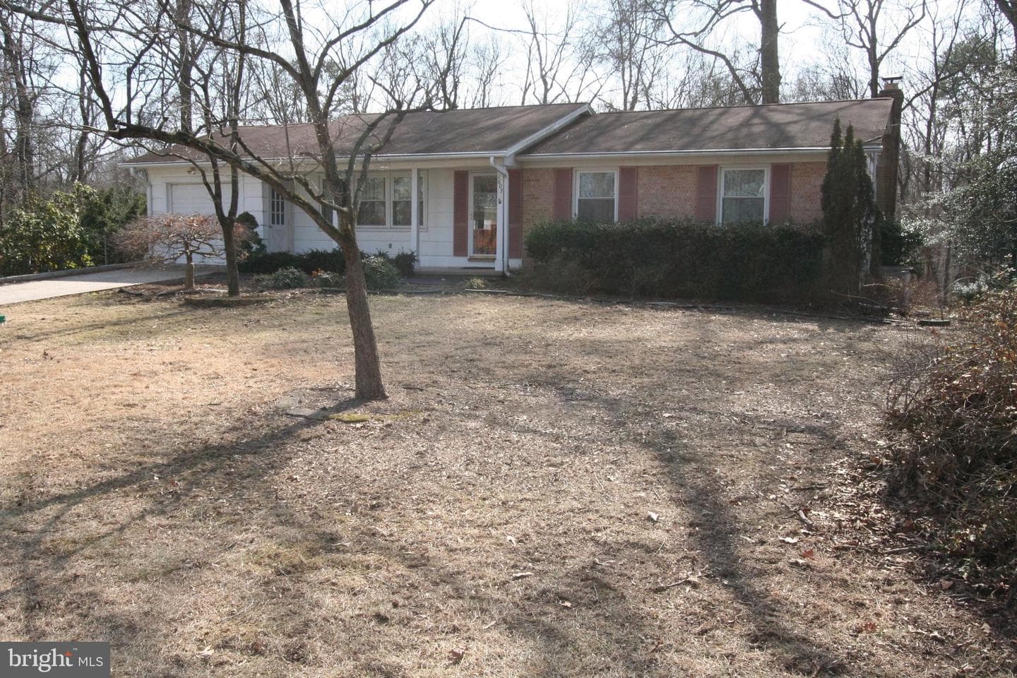 1605 George Avenue photo 44