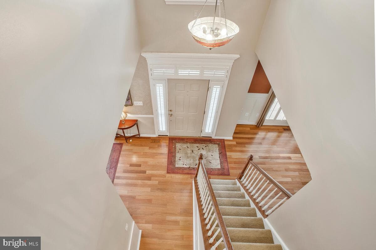 2405 Dale Brook Court photo 20