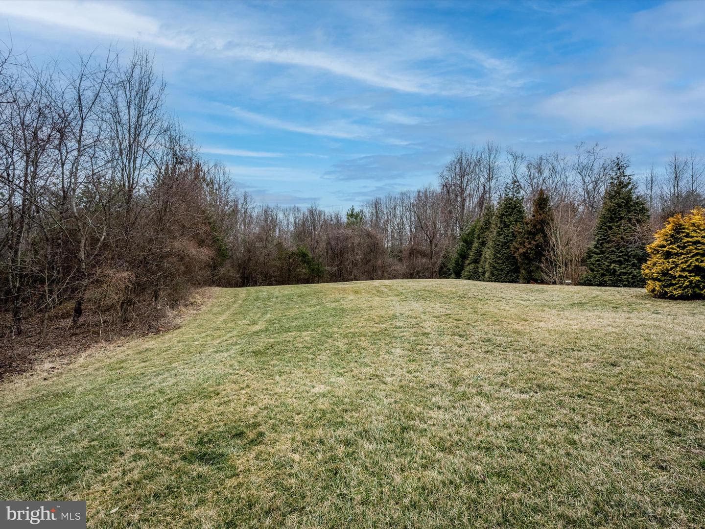2415 Pebblebrook Court photo 44