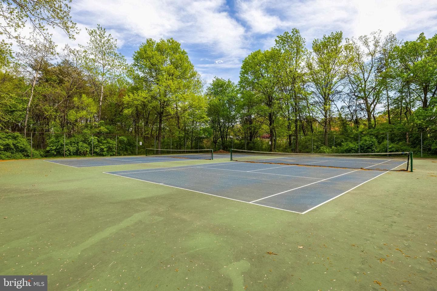 305 Rain Water Way #204 photo 26