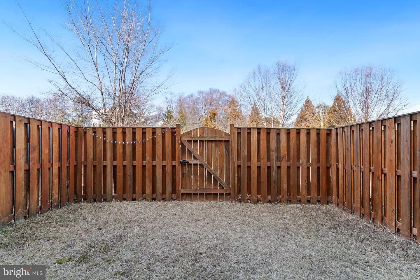 1110 Carinoso Circle photo 51