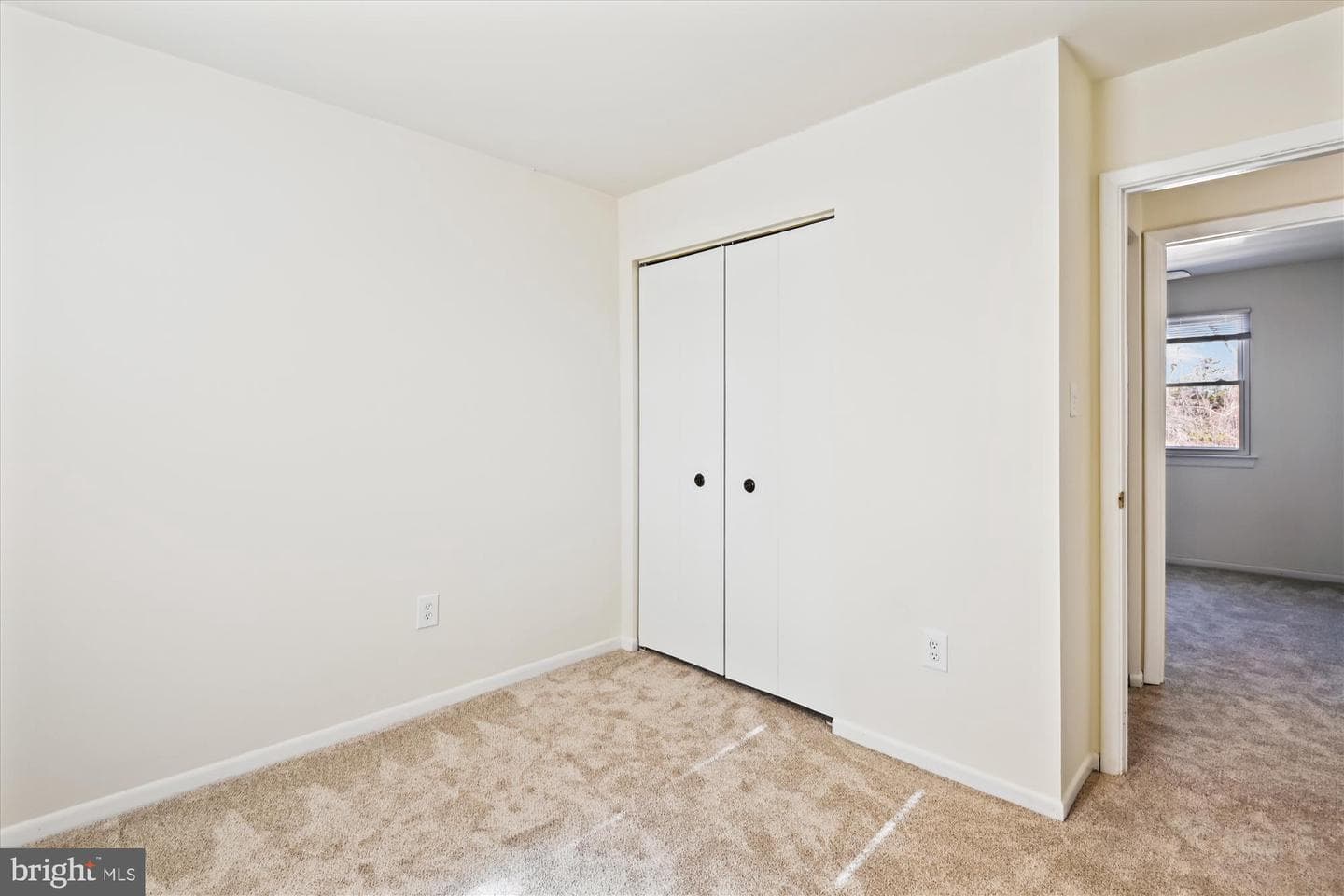 299 Ternwing Drive photo 27