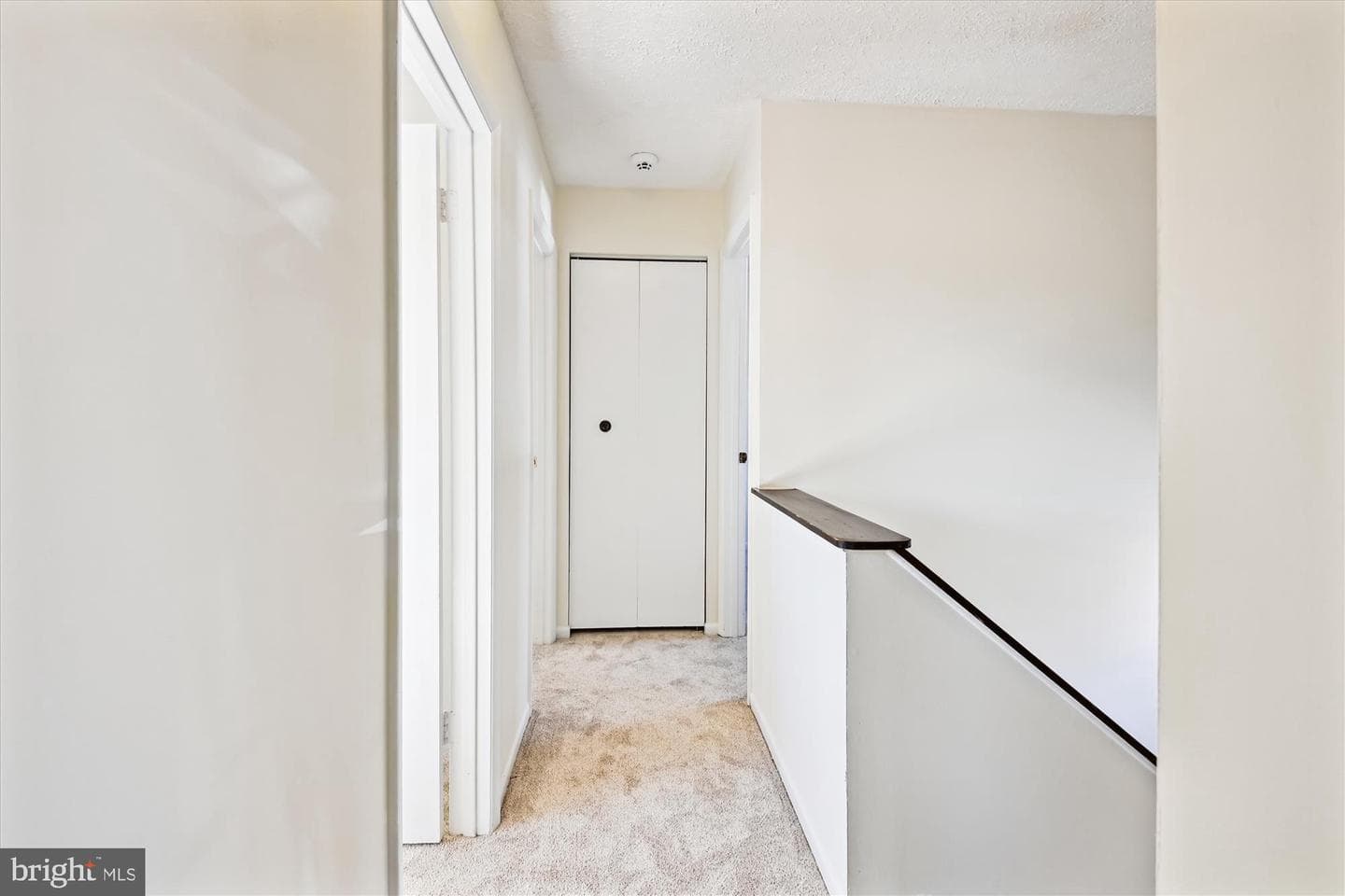 299 Ternwing Drive photo 41