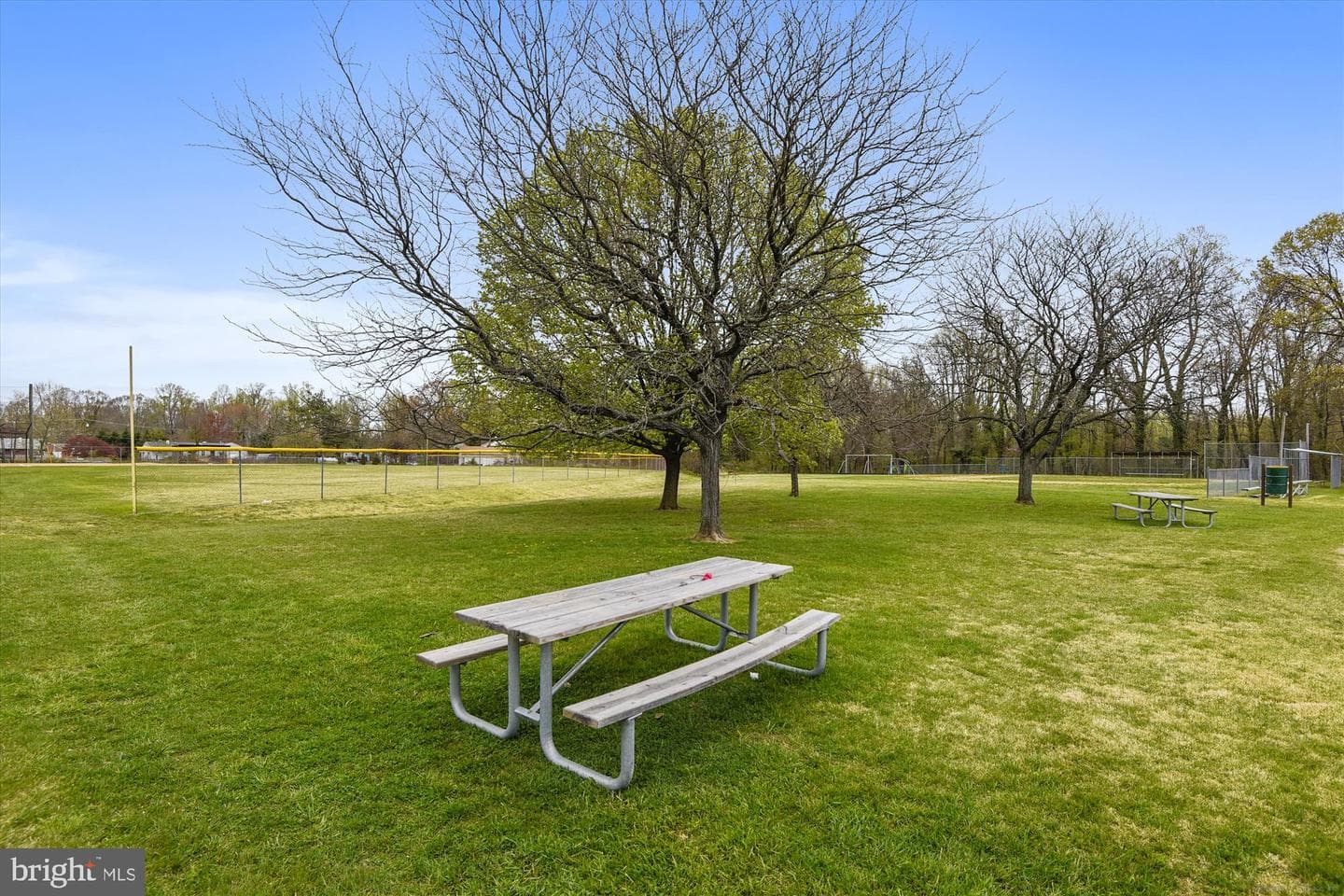 299 Ternwing Drive photo 45