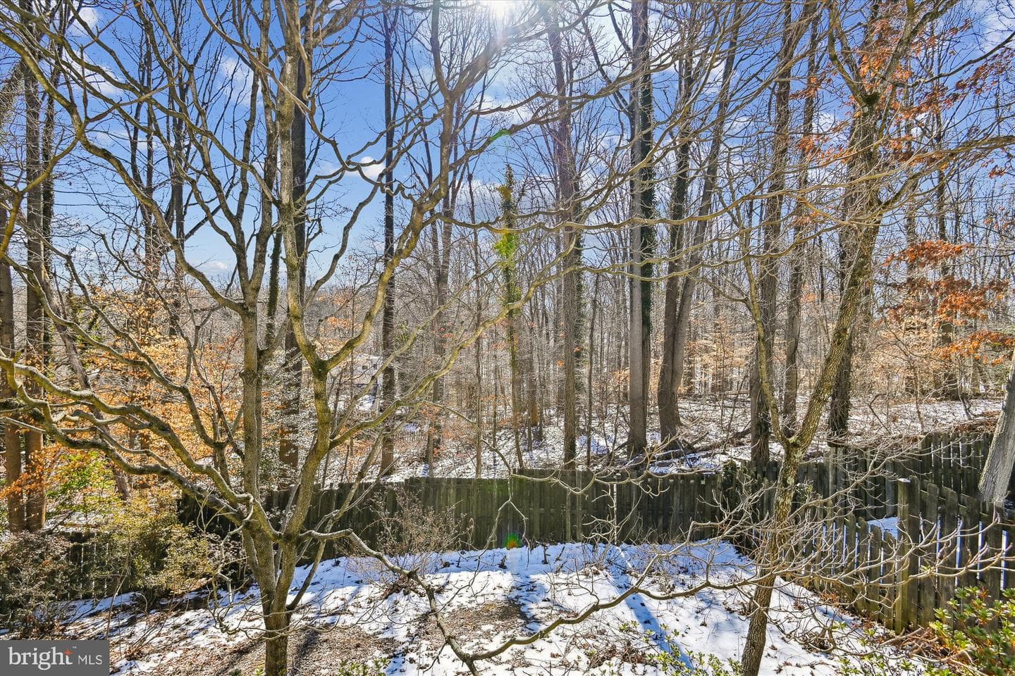 299 Ternwing Drive photo 8