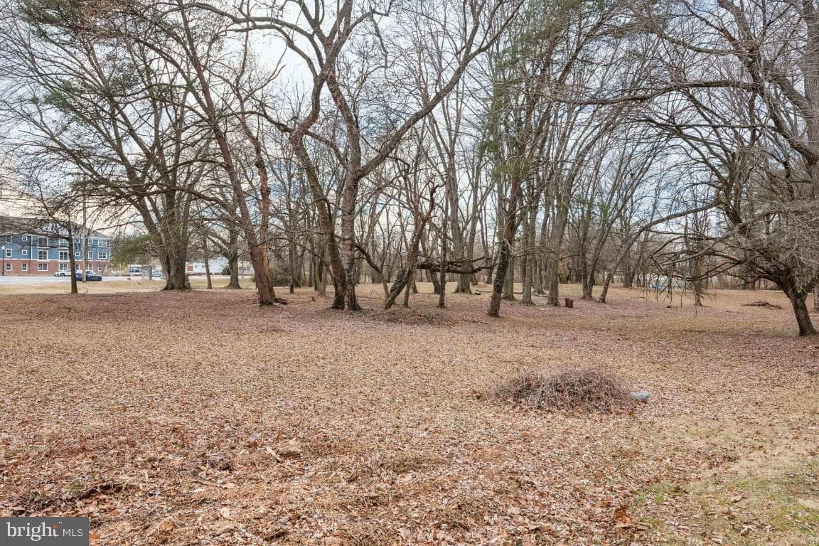 121 Merryman Court photo 21
