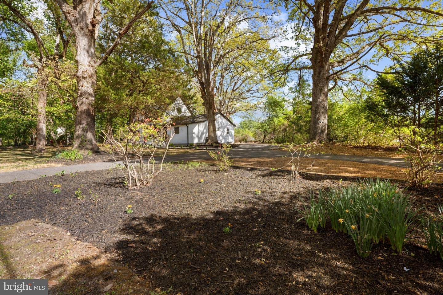 583 Shore Acres Road photo 39