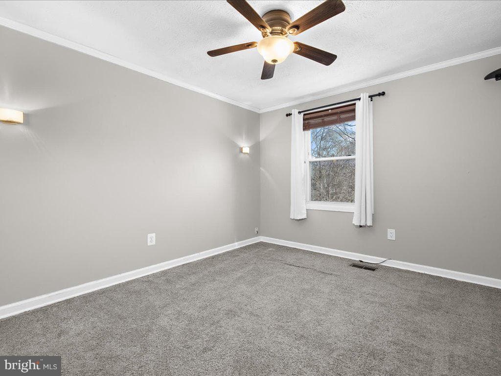 7806 Walnut Tree Road photo 14