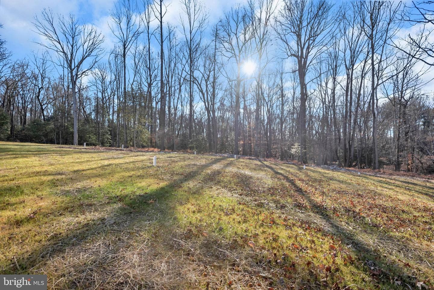 6502 Whitetail Crossing Way photo 38