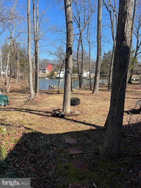 3592 Loch Haven Drive photo 64