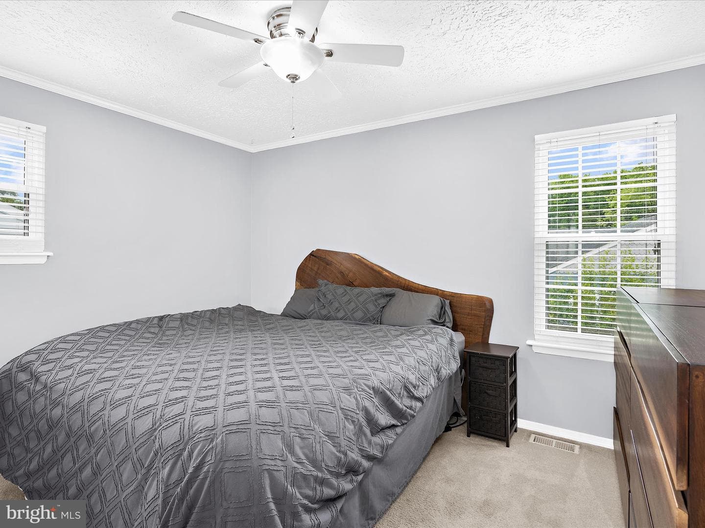 321 Alexis Drive photo 11