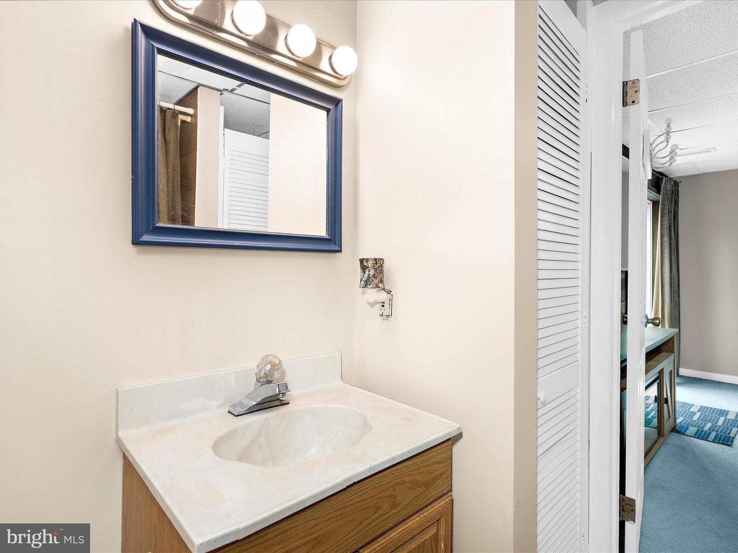 321 Alexis Drive photo 22
