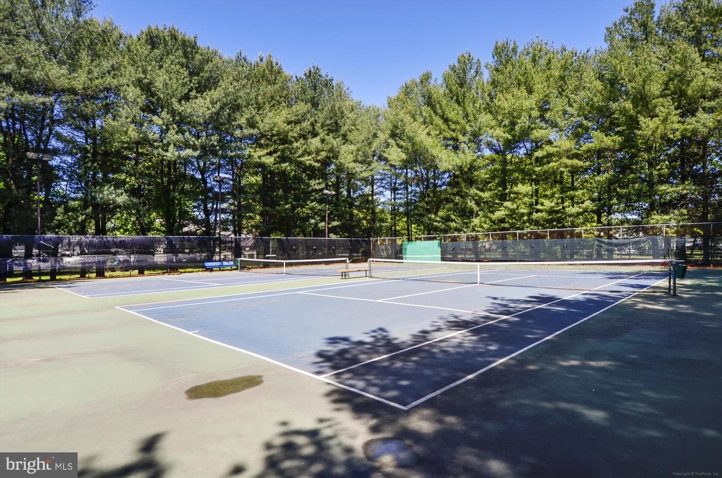 327 Saint Bees Drive photo 87