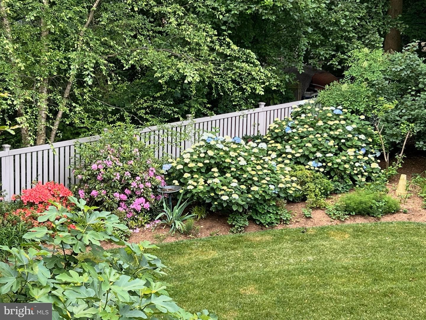 403 Halsey Road photo 24
