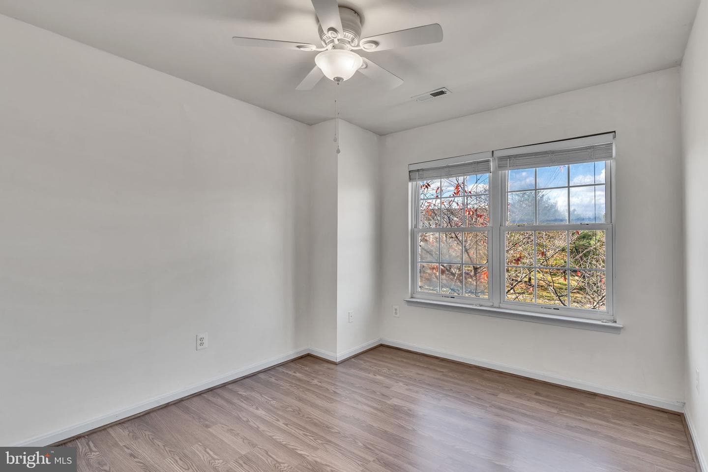 2034 Astilbe Way photo 19