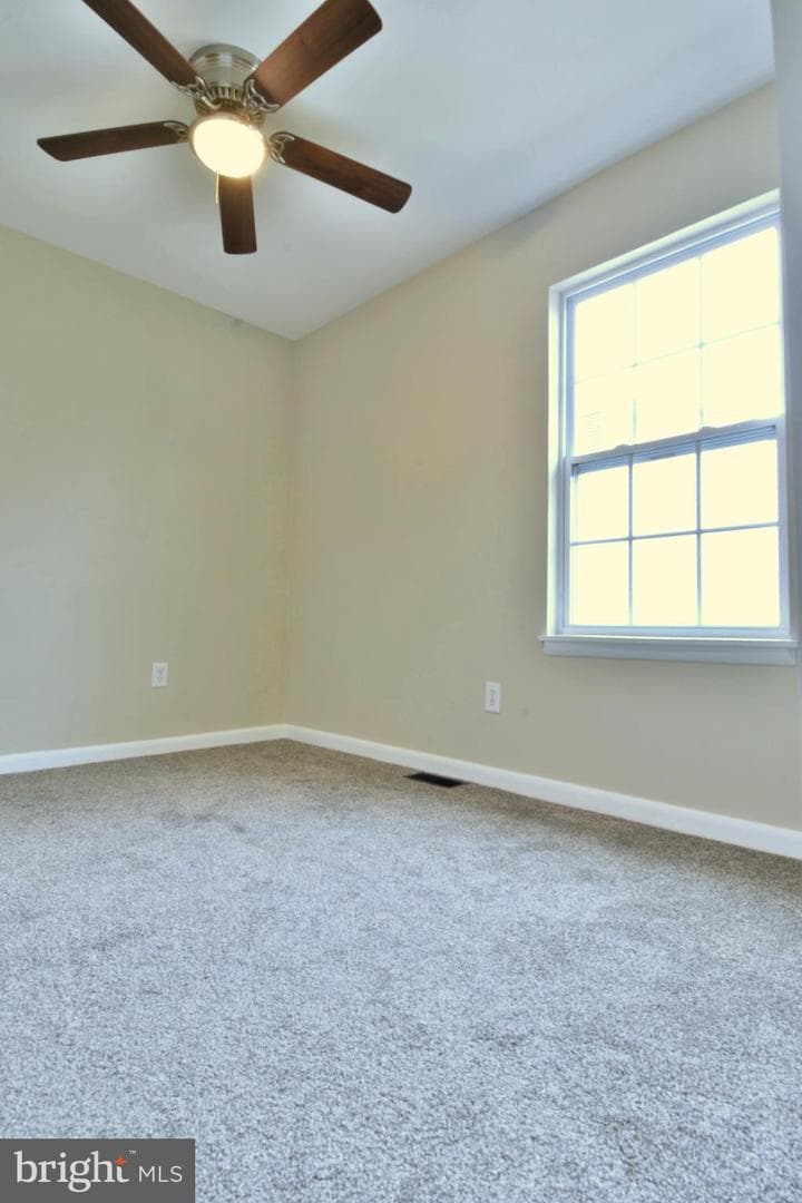 418 Rose Avenue photo 18