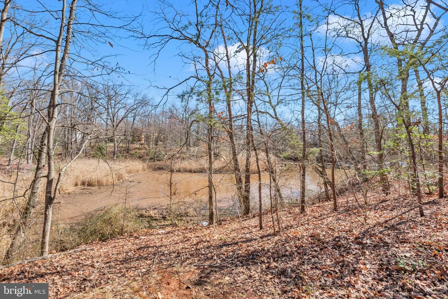 1231 Tillerman Place photo 41