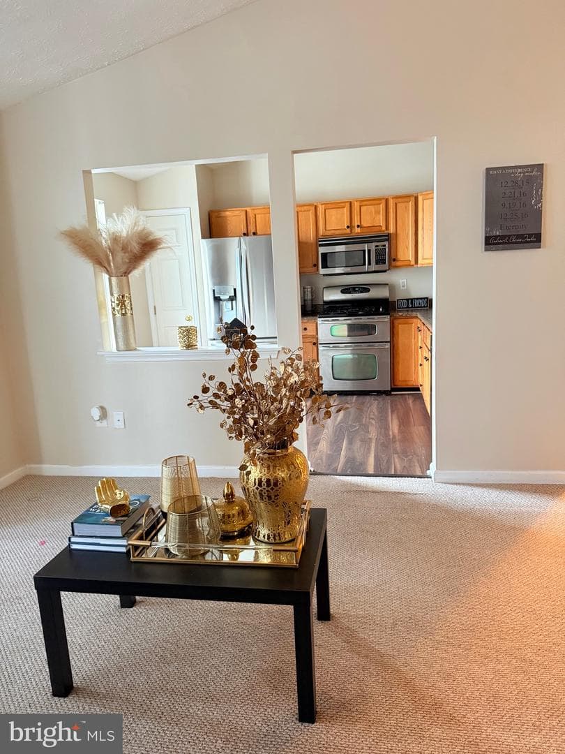 2440 Blue Spring Court #301 photo 10