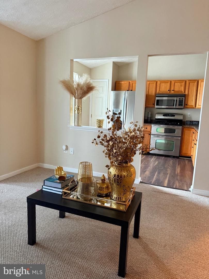 2440 Blue Spring Court #301 photo 11