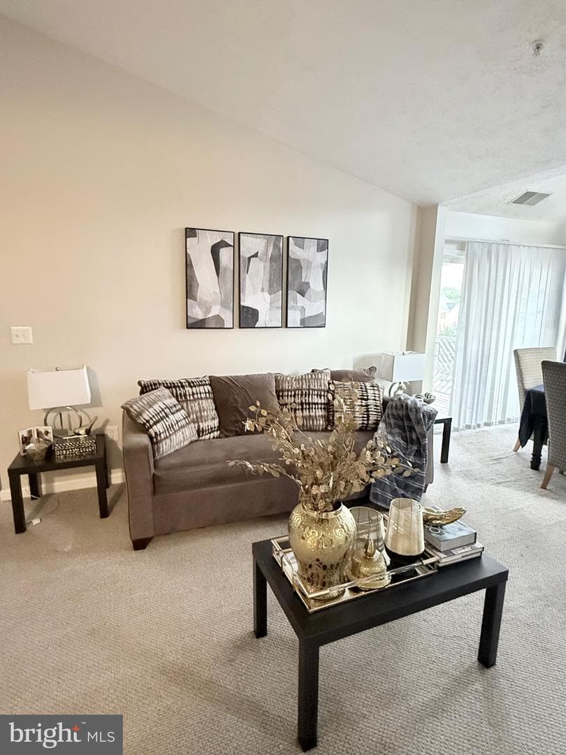 2440 Blue Spring Court #301 photo 2