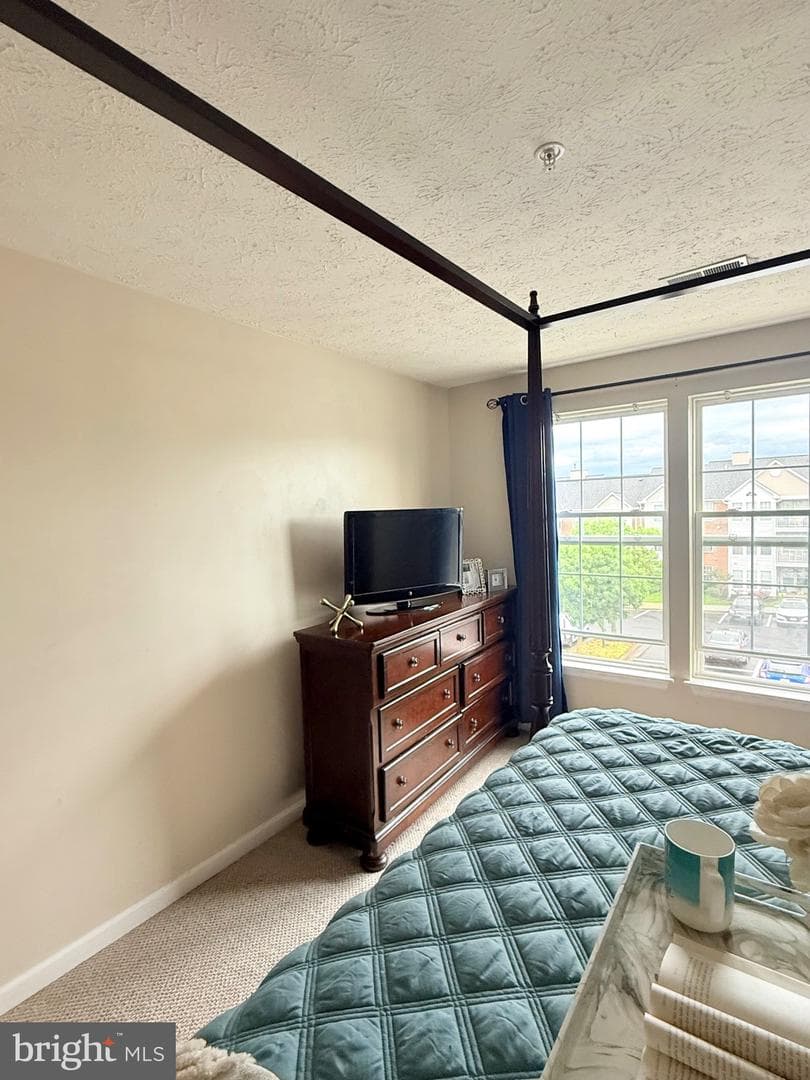 2440 Blue Spring Court #301 photo 29