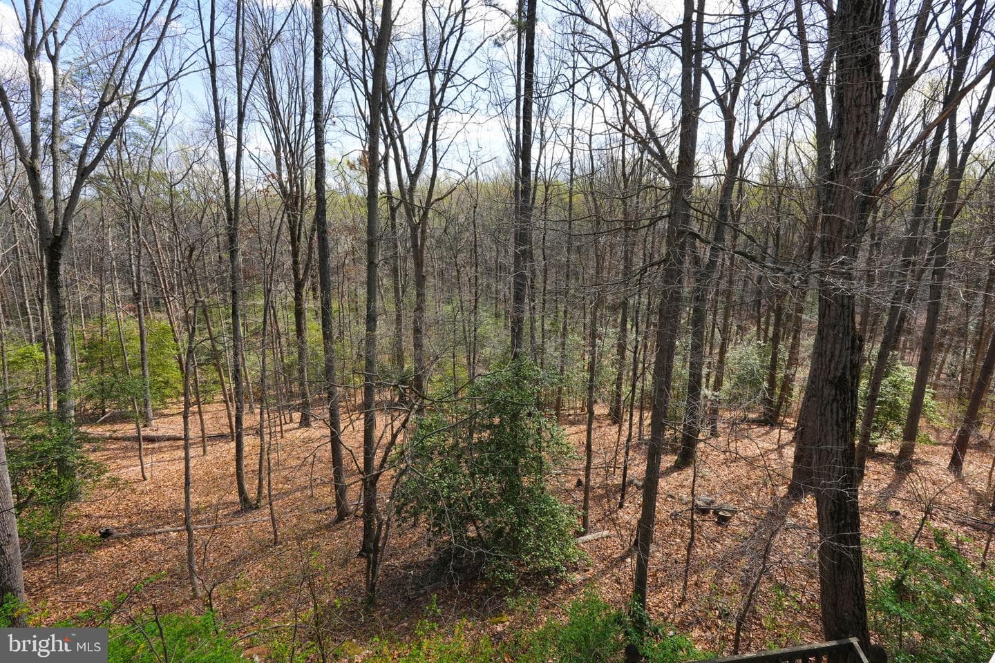 226 Pegasus Court photo 49