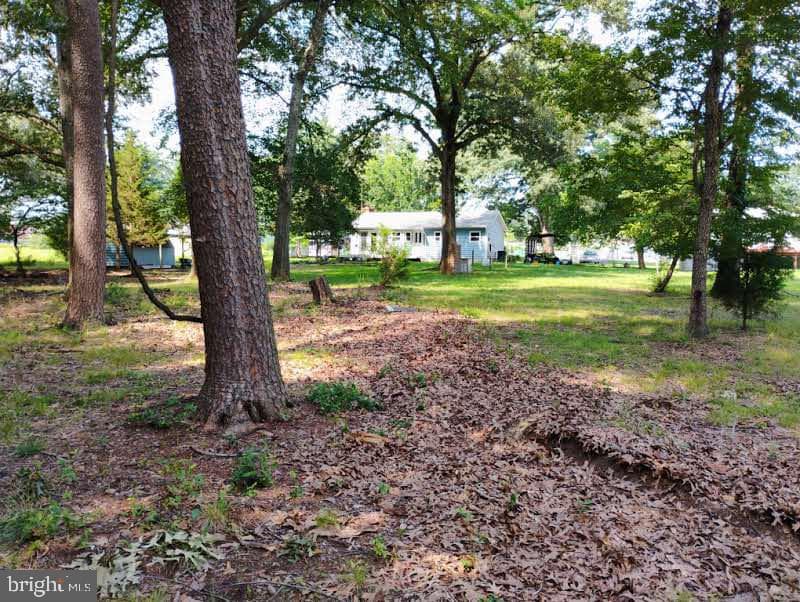 7885 Elizabeth Road photo 44
