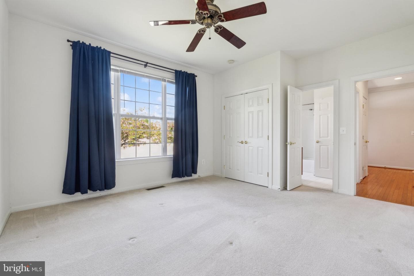 15 Tremont Drive photo 24