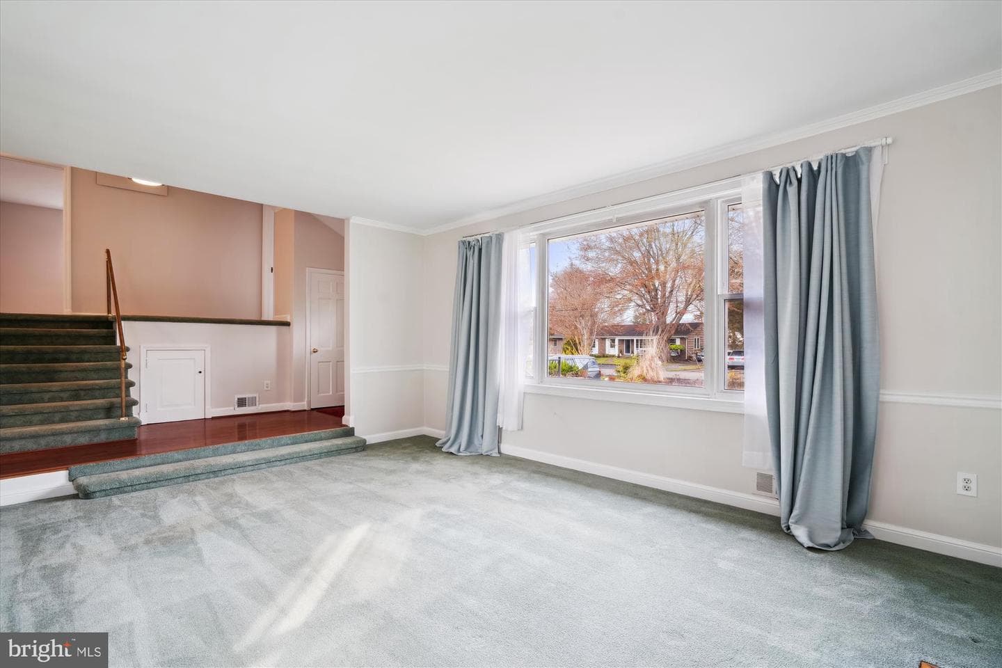 113 Boyd Drive photo 8