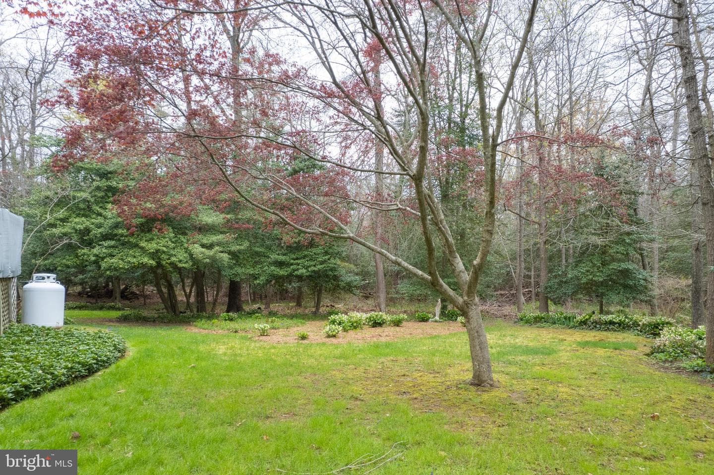 795 Harness Creek View Drive photo 52