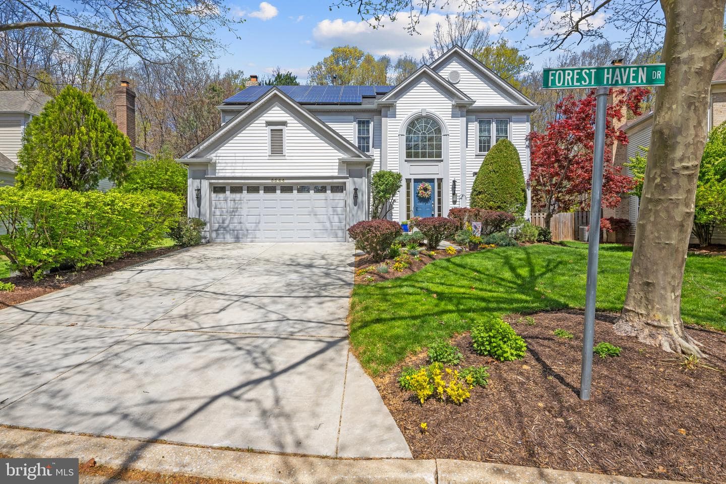 3544 Forest Haven Drive photo 1