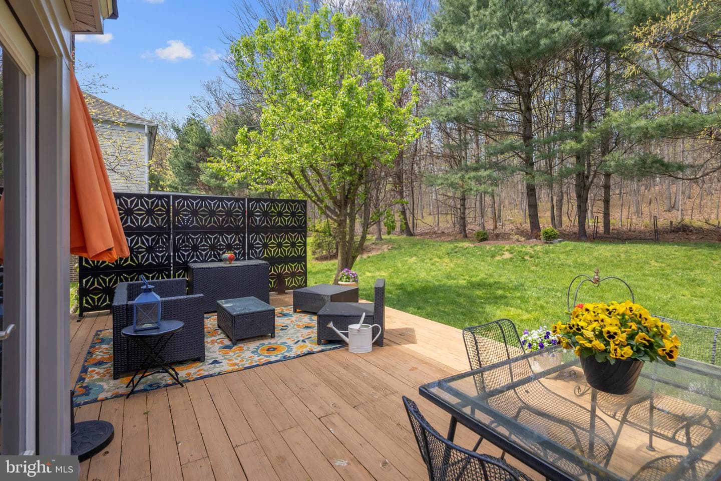 3544 Forest Haven Drive photo 38