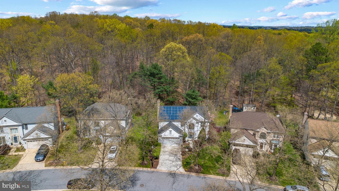 3544 Forest Haven Drive photo 41