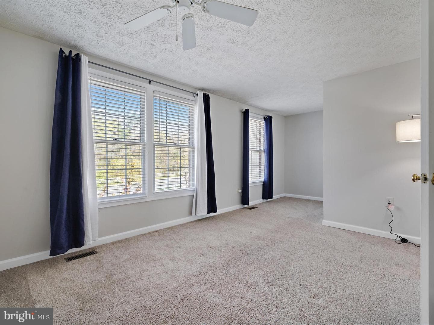 2417 Warm Spring Way photo 19