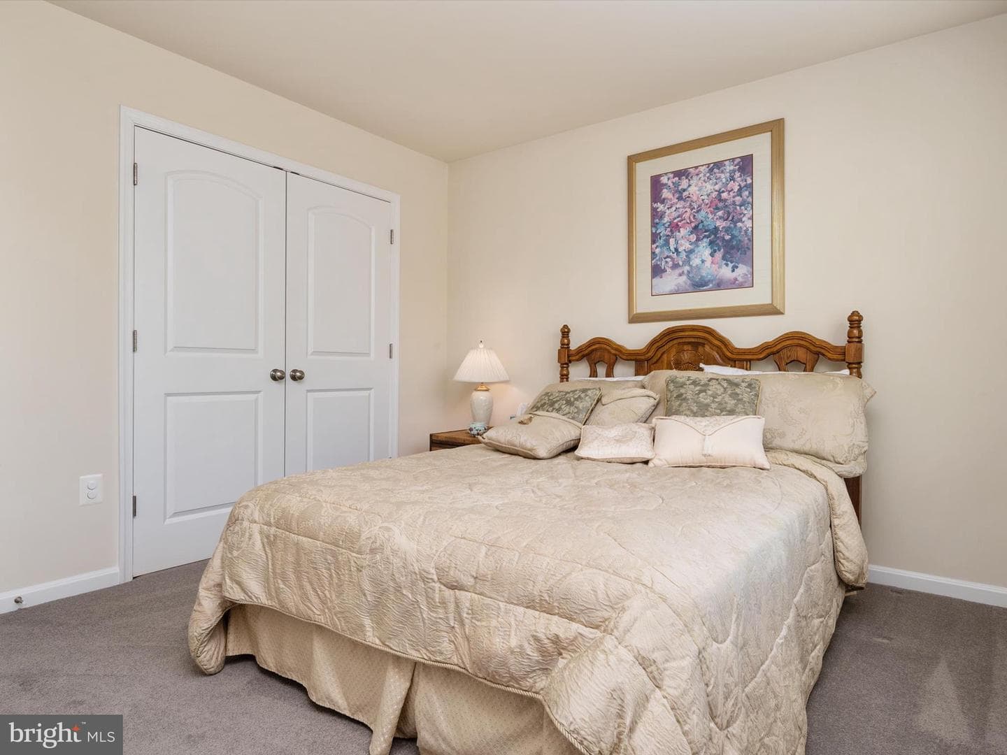 1505 Coldwater Reserve Crossing photo 19