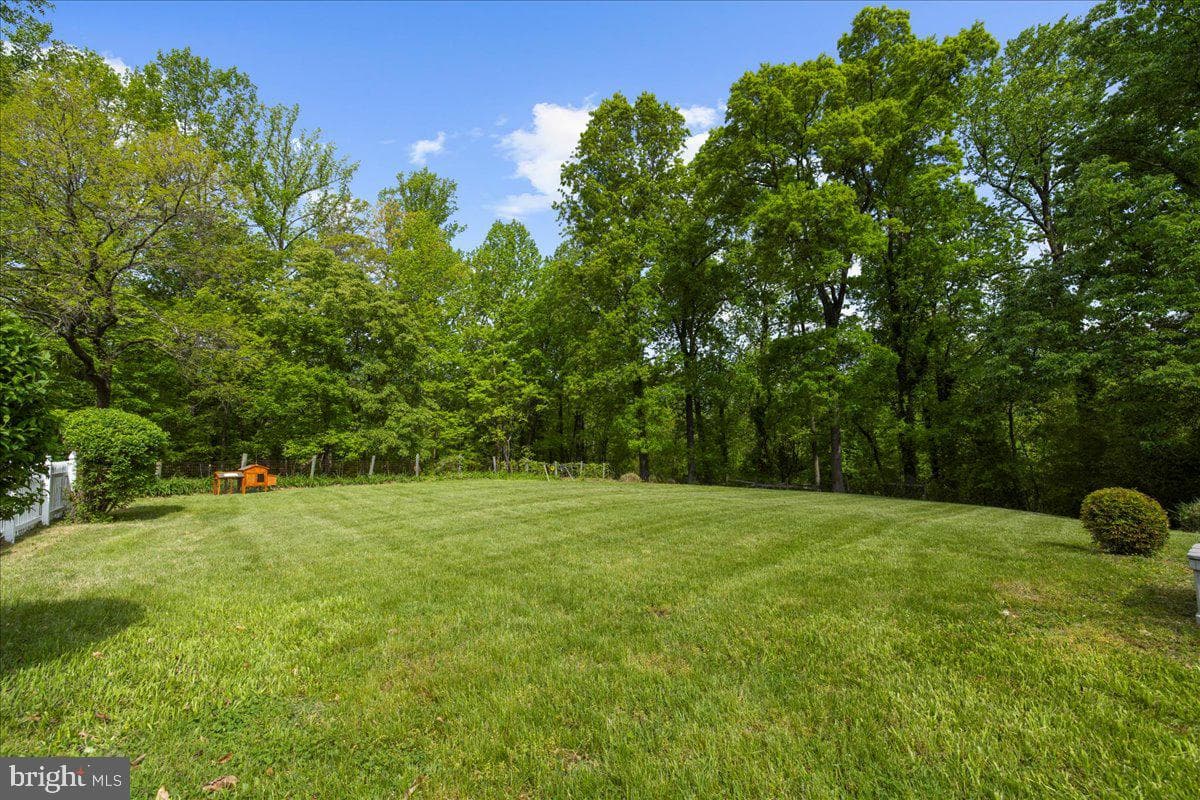 1116 Gumbottom Road photo 65